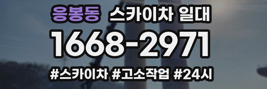 응봉동 스카이차 일대