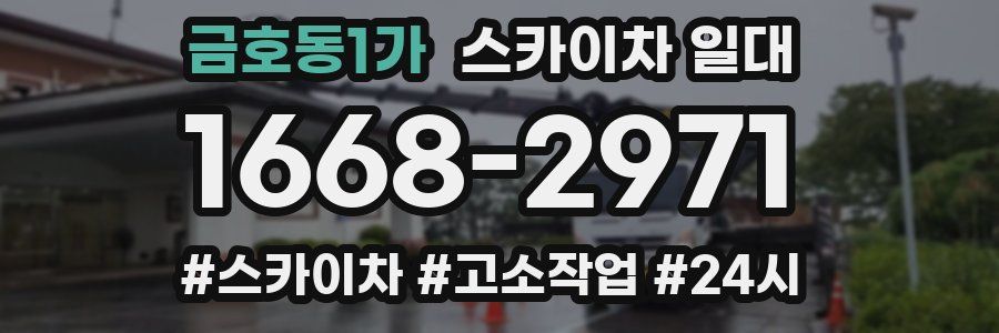 금호동1가 스카이차 일대
