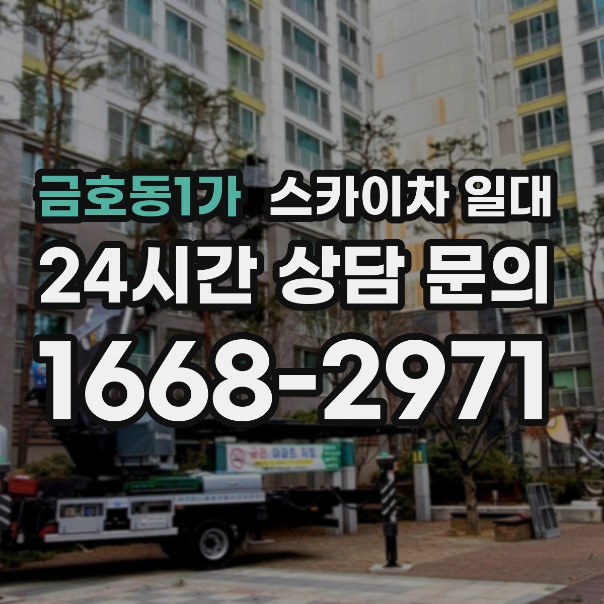 금호동1가 스카이차 일대