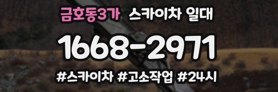 금호동3가 스카이차 일대