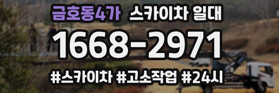 금호동4가 스카이차 일대