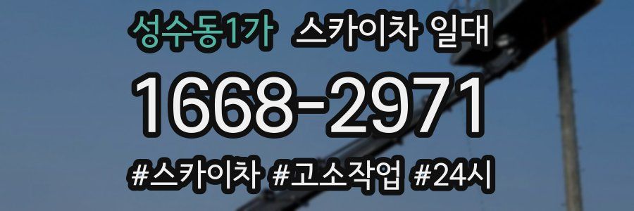 성수동1가 스카이차 일대