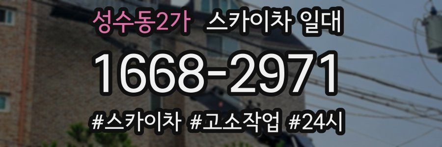 성수동2가 스카이차 일대