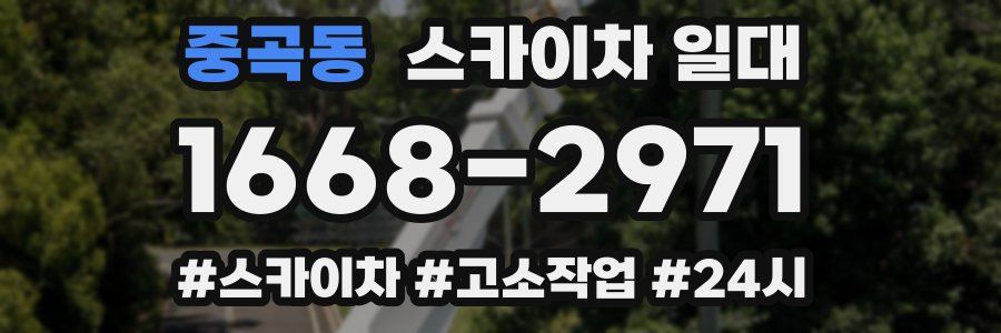 중곡동 스카이차 일대