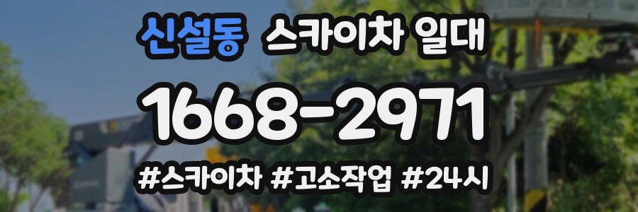 신설동 스카이차 일대