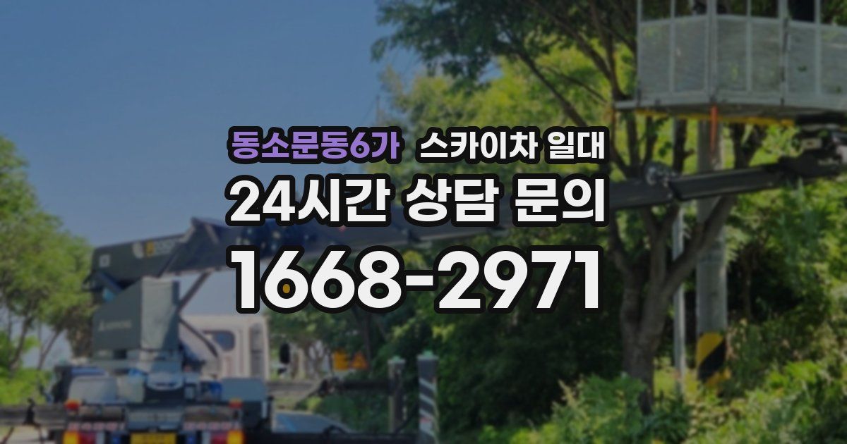 동소문동6가 스카이차 일대