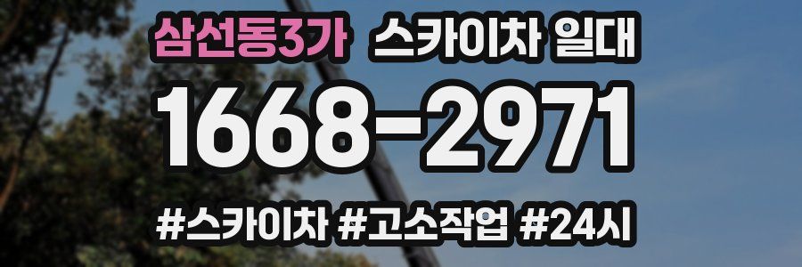 삼선동3가 스카이차 일대