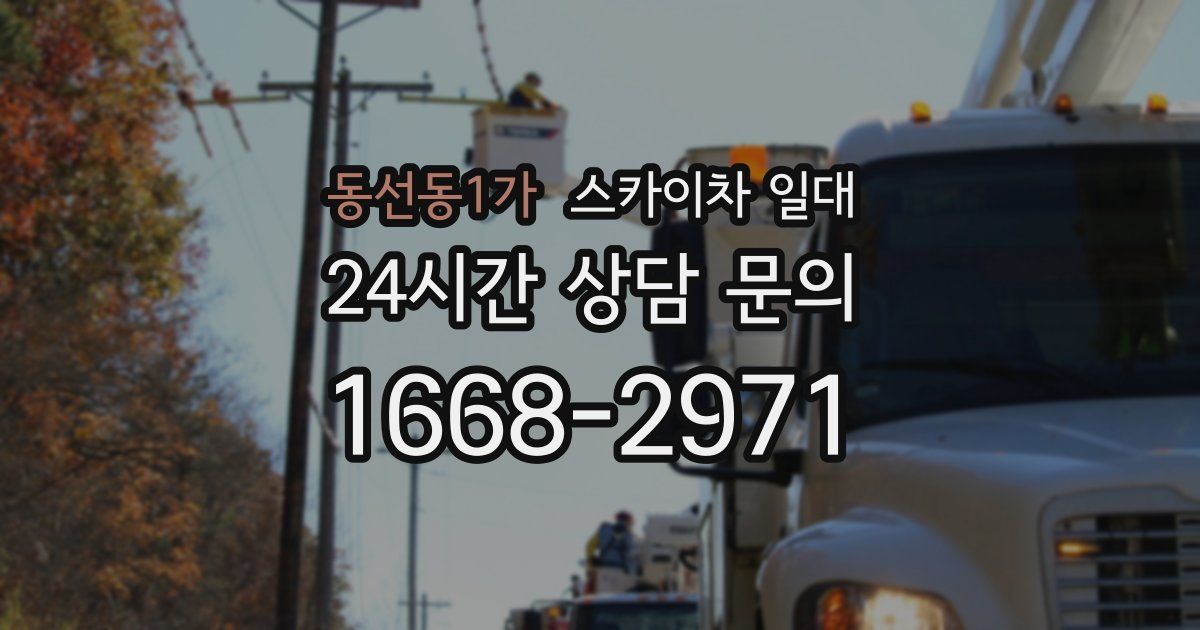 동선동1가 스카이차 일대