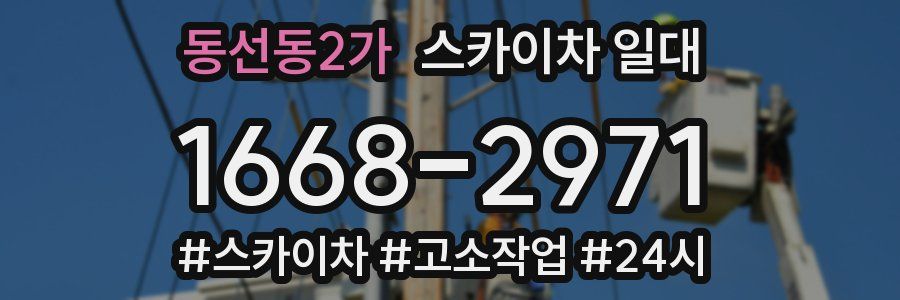 동선동2가 스카이차 일대