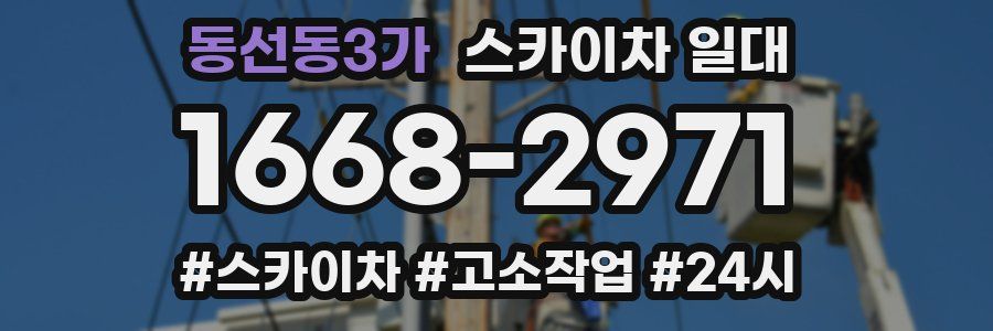 동선동3가 스카이차 일대