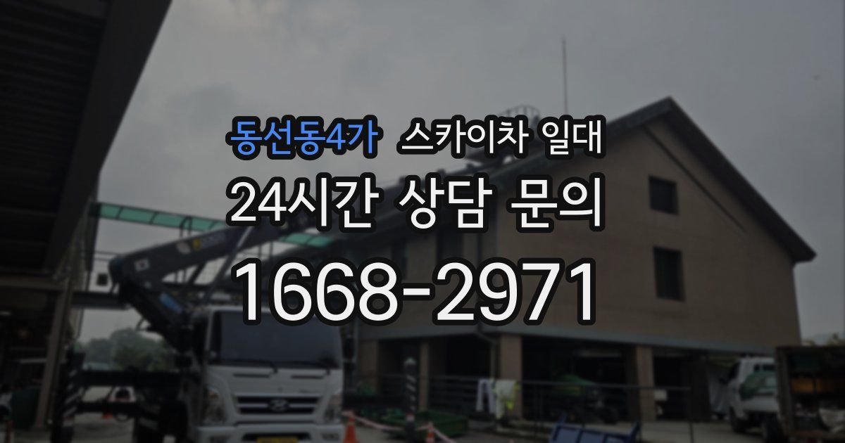 동선동4가 스카이차 일대