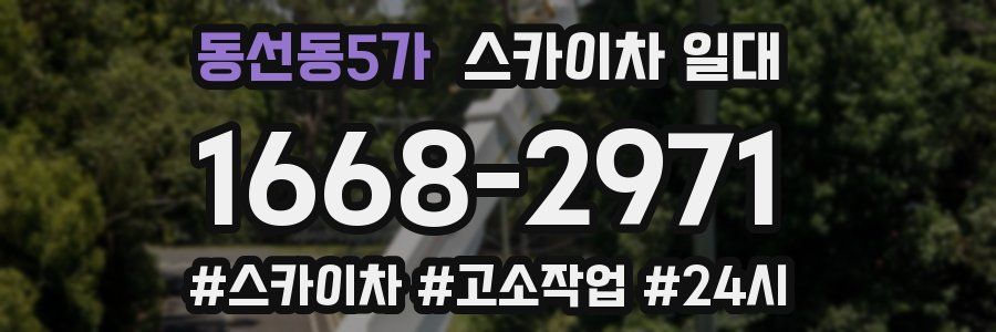 동선동5가 스카이차 일대