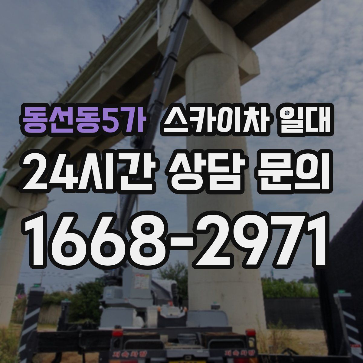 동선동5가 스카이차 일대