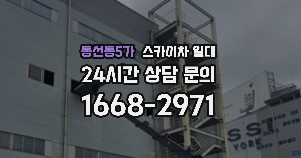 동선동5가 스카이차 일대
