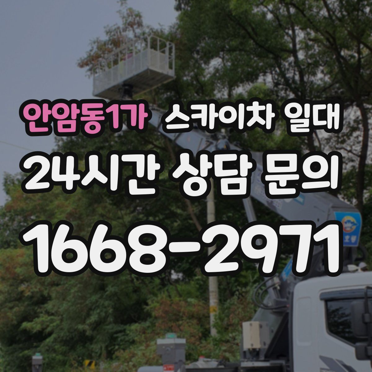 안암동1가 스카이차 일대