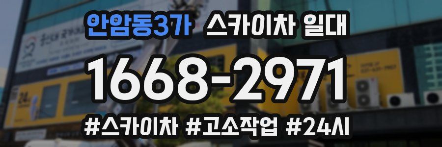 안암동3가 스카이차 일대
