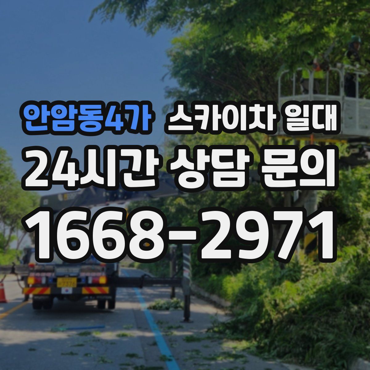 안암동4가 스카이차 일대