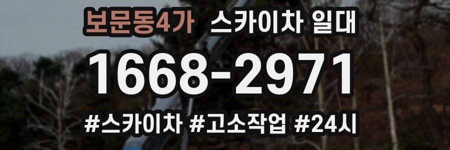 보문동4가 스카이차 일대