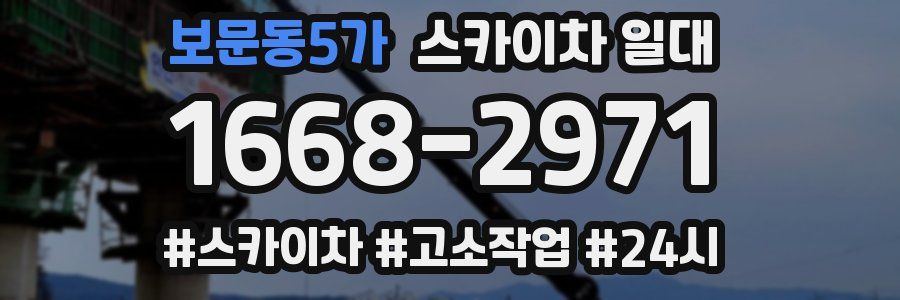 보문동5가 스카이차 일대