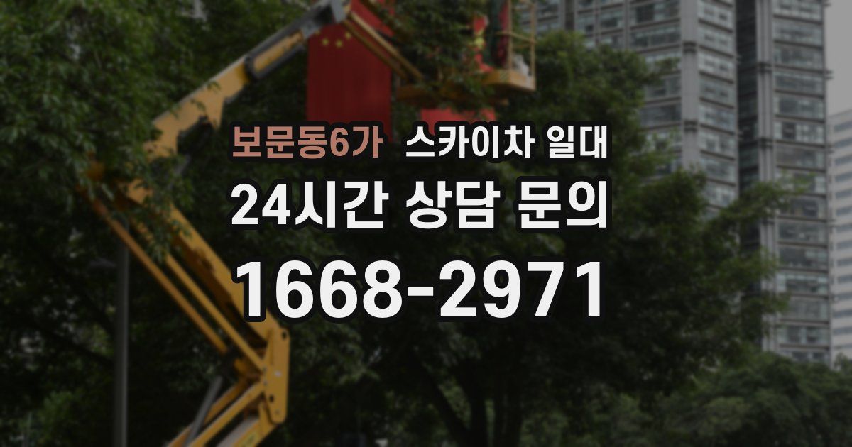 보문동6가 스카이차 일대