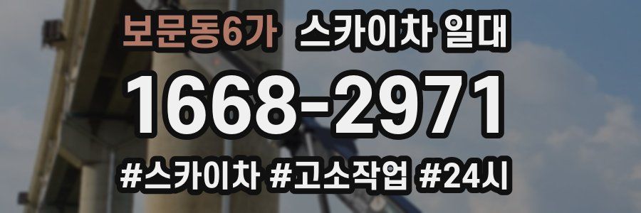 보문동6가 스카이차 일대