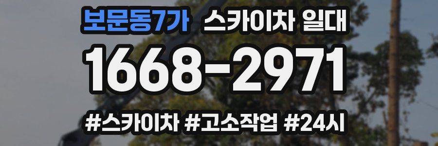 보문동7가 스카이차 일대