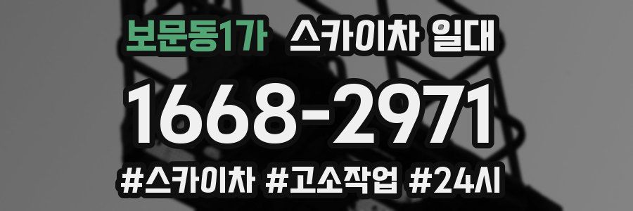 보문동1가 스카이차 일대