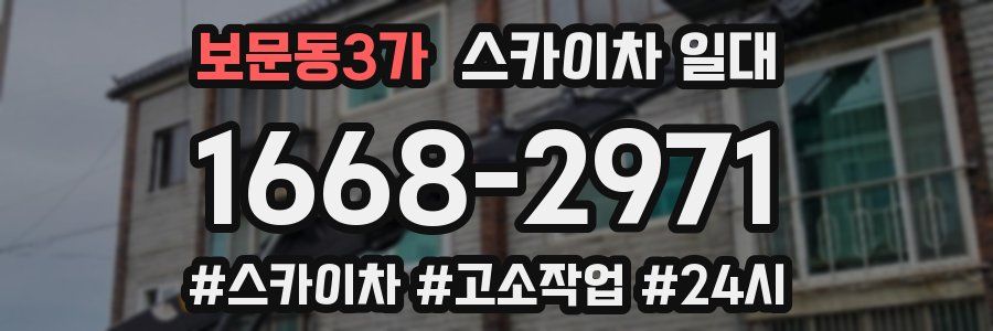 보문동3가 스카이차 일대