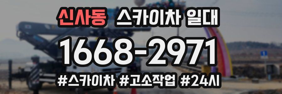 신사동 스카이차 일대