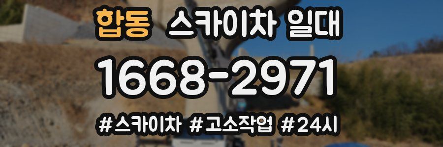 합동 스카이차 일대