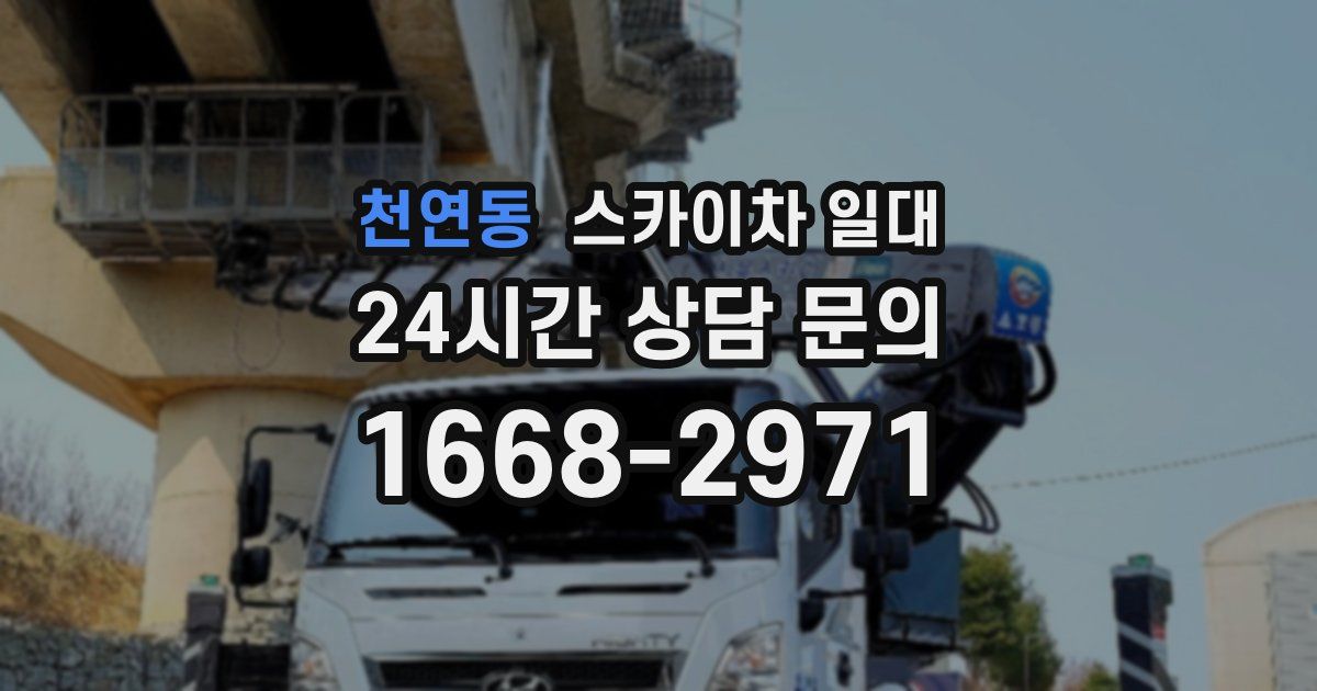 천연동 스카이차 일대