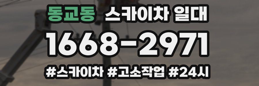 동교동 스카이차 일대