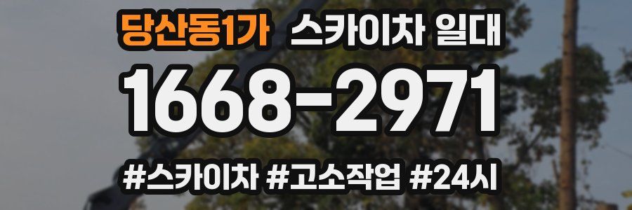 당산동1가 스카이차 일대
