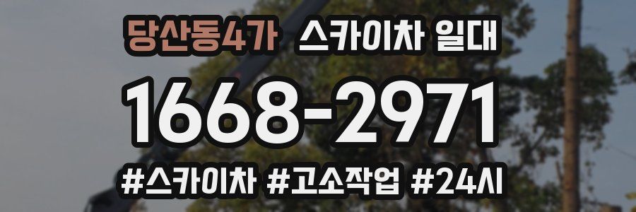 당산동4가 스카이차 일대