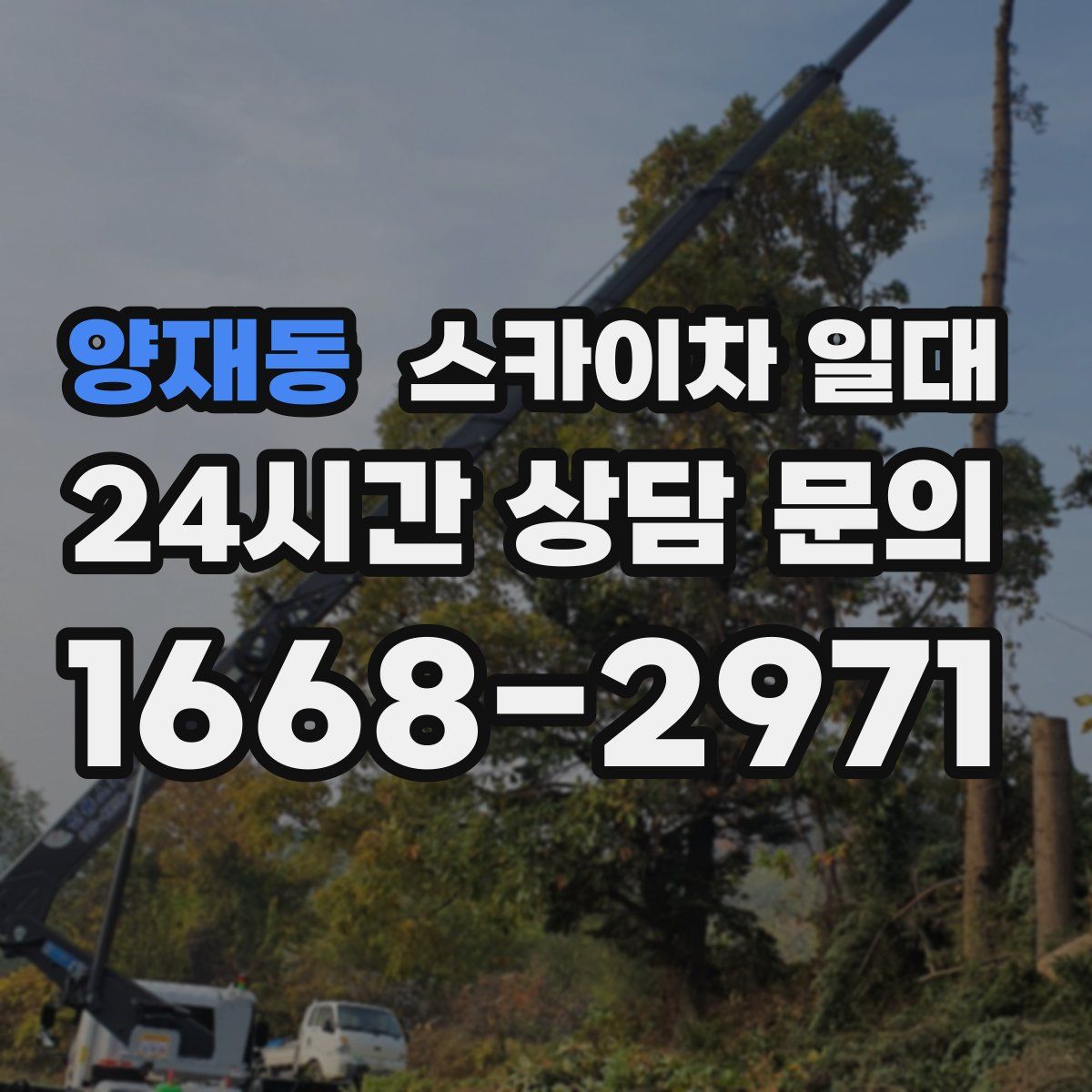양재동 스카이차 일대