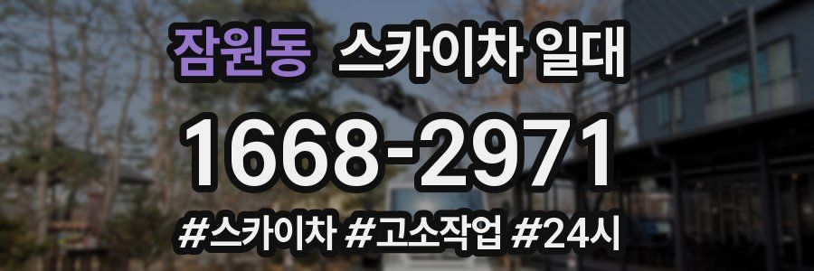 잠원동 스카이차 일대
