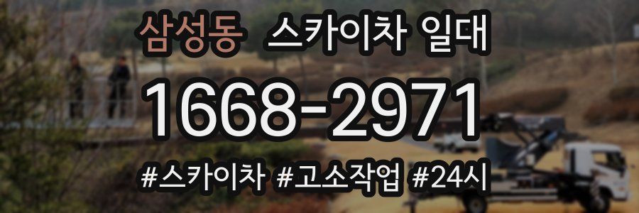 삼성동 스카이차 일대