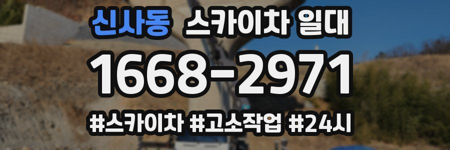 신사동 스카이차 일대