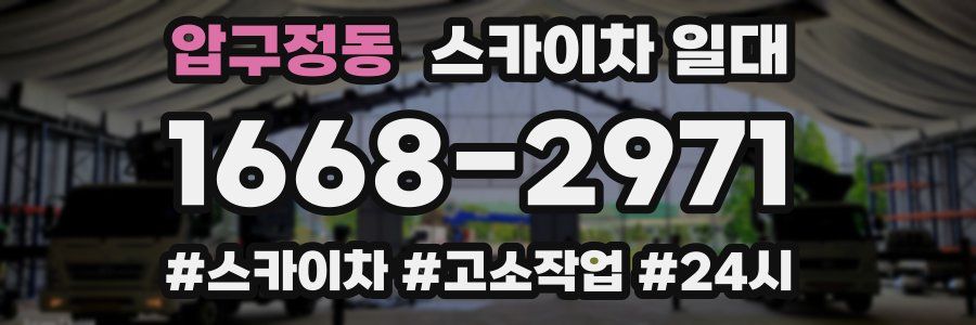 압구정동 스카이차 일대