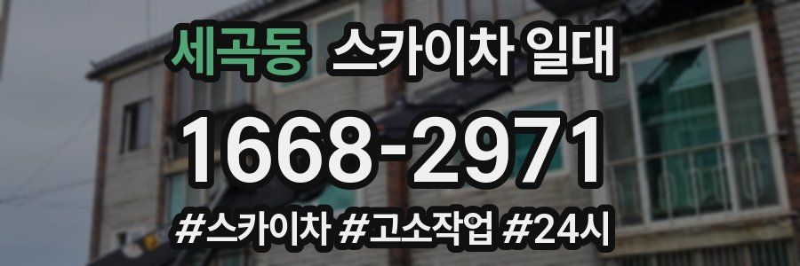 세곡동 스카이차 일대
