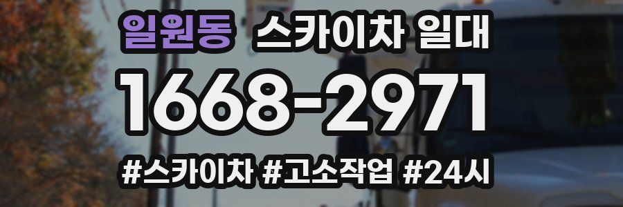 일원동 스카이차 일대