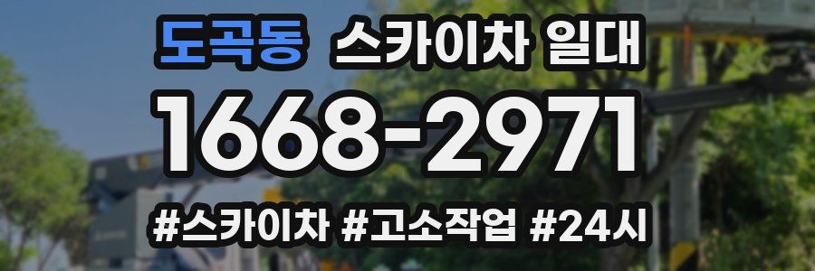 도곡동 스카이차 일대