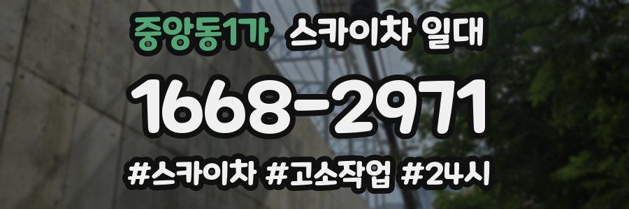 중앙동1가 스카이차 일대