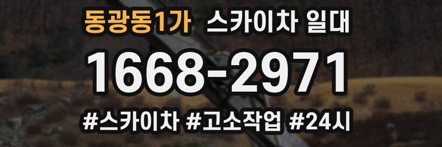 동광동1가 스카이차 일대