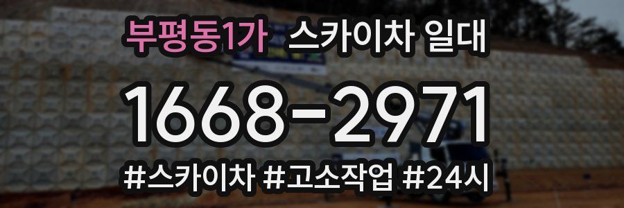 부평동1가 스카이차 일대