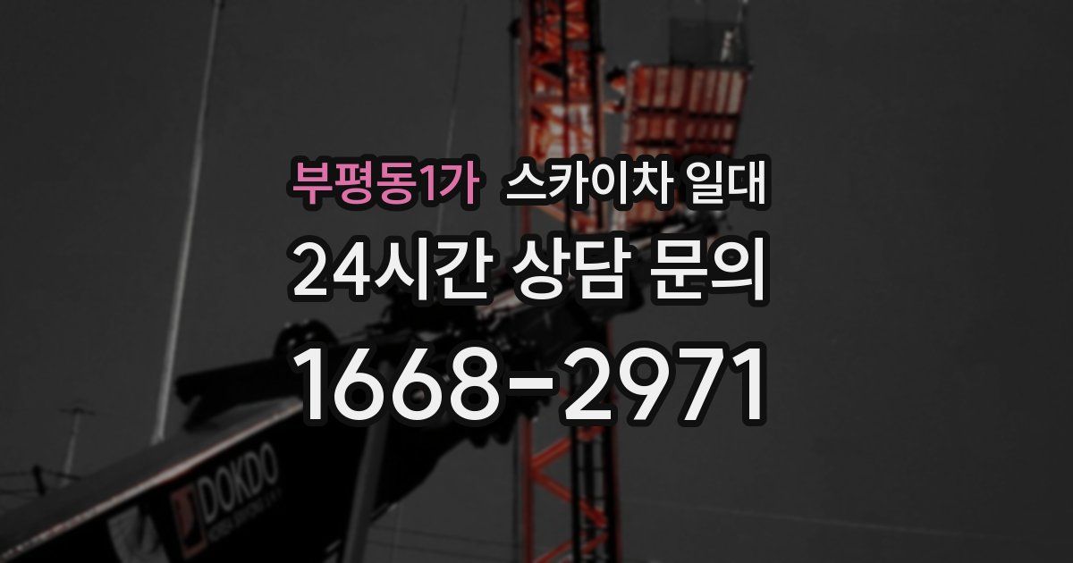 부평동1가 스카이차 일대