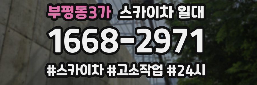 부평동3가 스카이차 일대