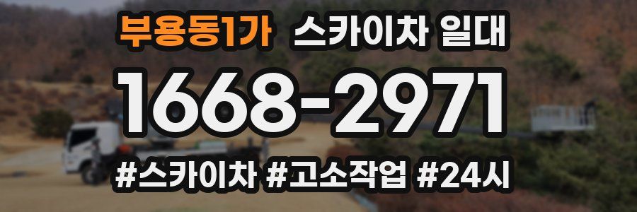 부용동1가 스카이차 일대