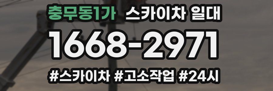 충무동1가 스카이차 일대