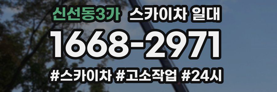 신선동3가 스카이차 일대